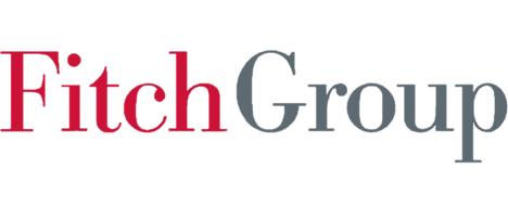 Fitch Group logo
